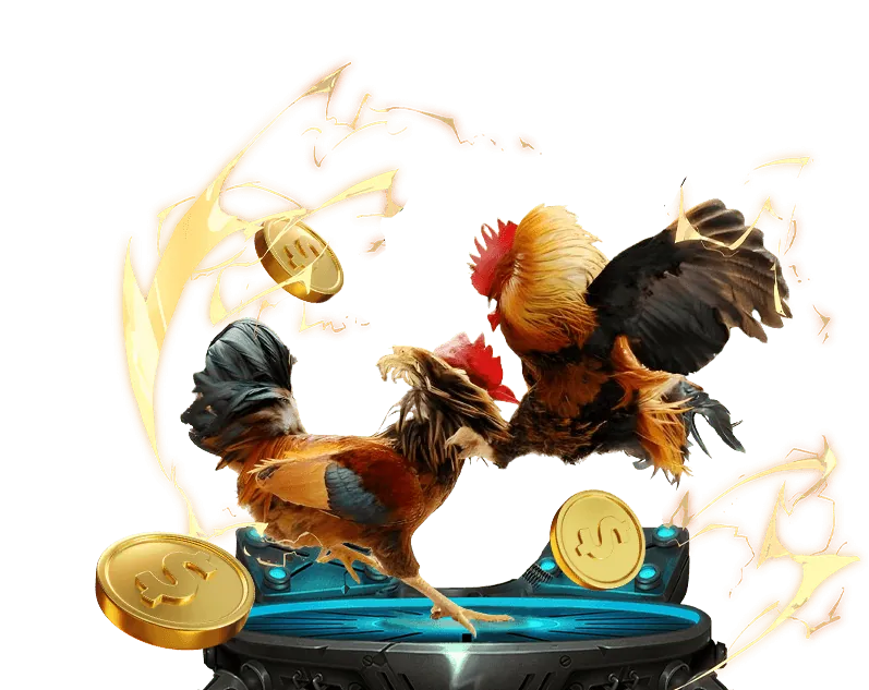 Hỗ trợ khách hàng và khuyến mãi jun88